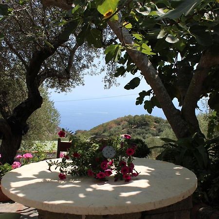 Casa Josella Villa Massa Lubrense Exterior foto