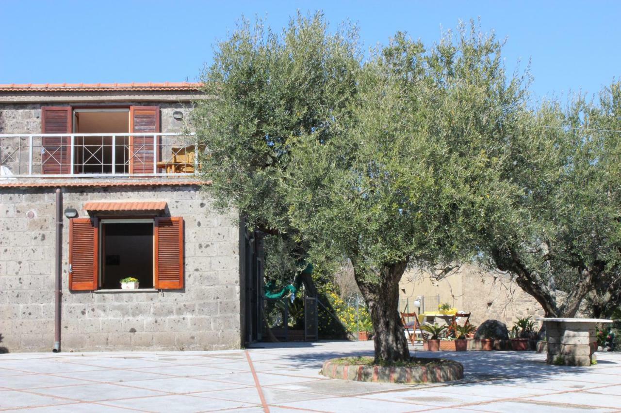 Casa Josella Villa Massa Lubrense Exterior foto