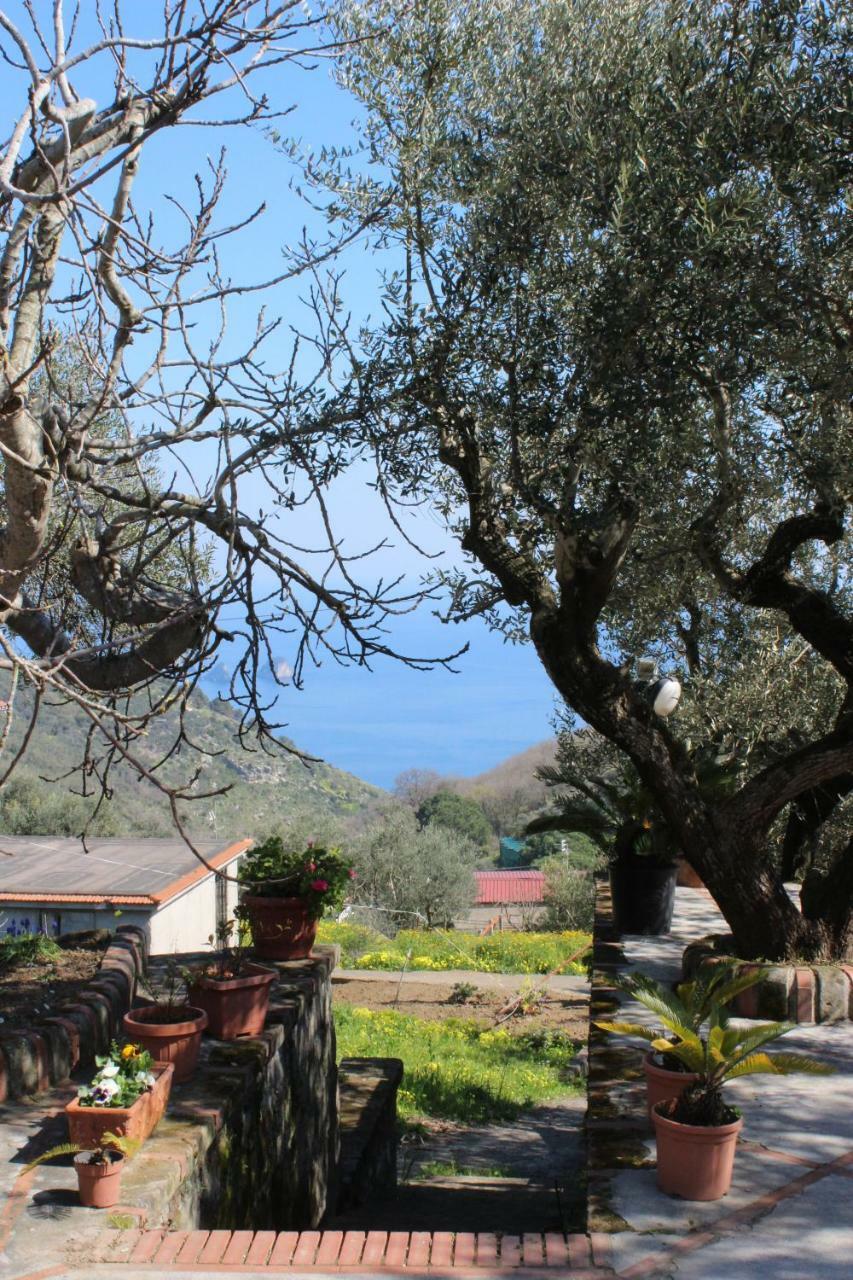 Casa Josella Villa Massa Lubrense Exterior foto